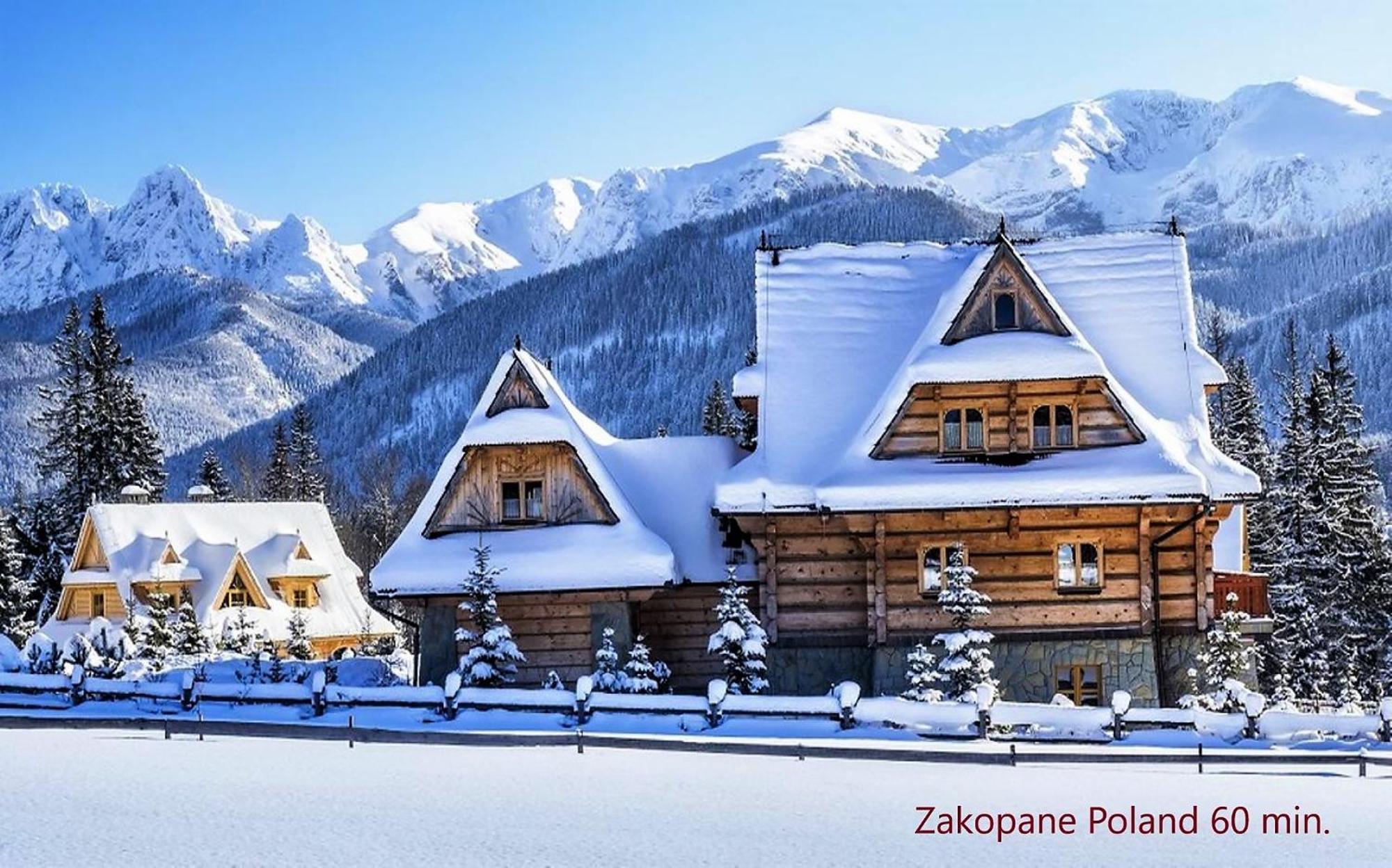 Tatrystay Cactus Premium Villa High Tatras Private Wellness Stara Lesna Exterior photo